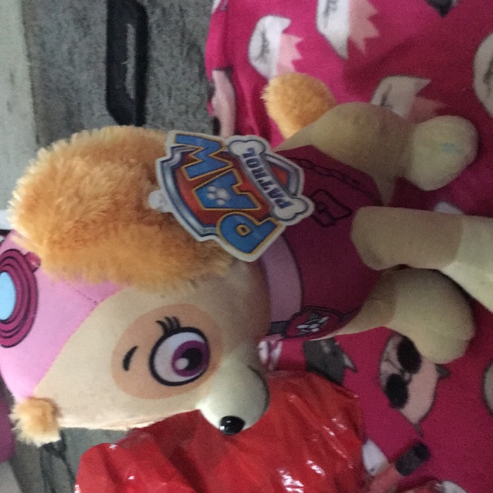 Paw Patrol stuffed animal